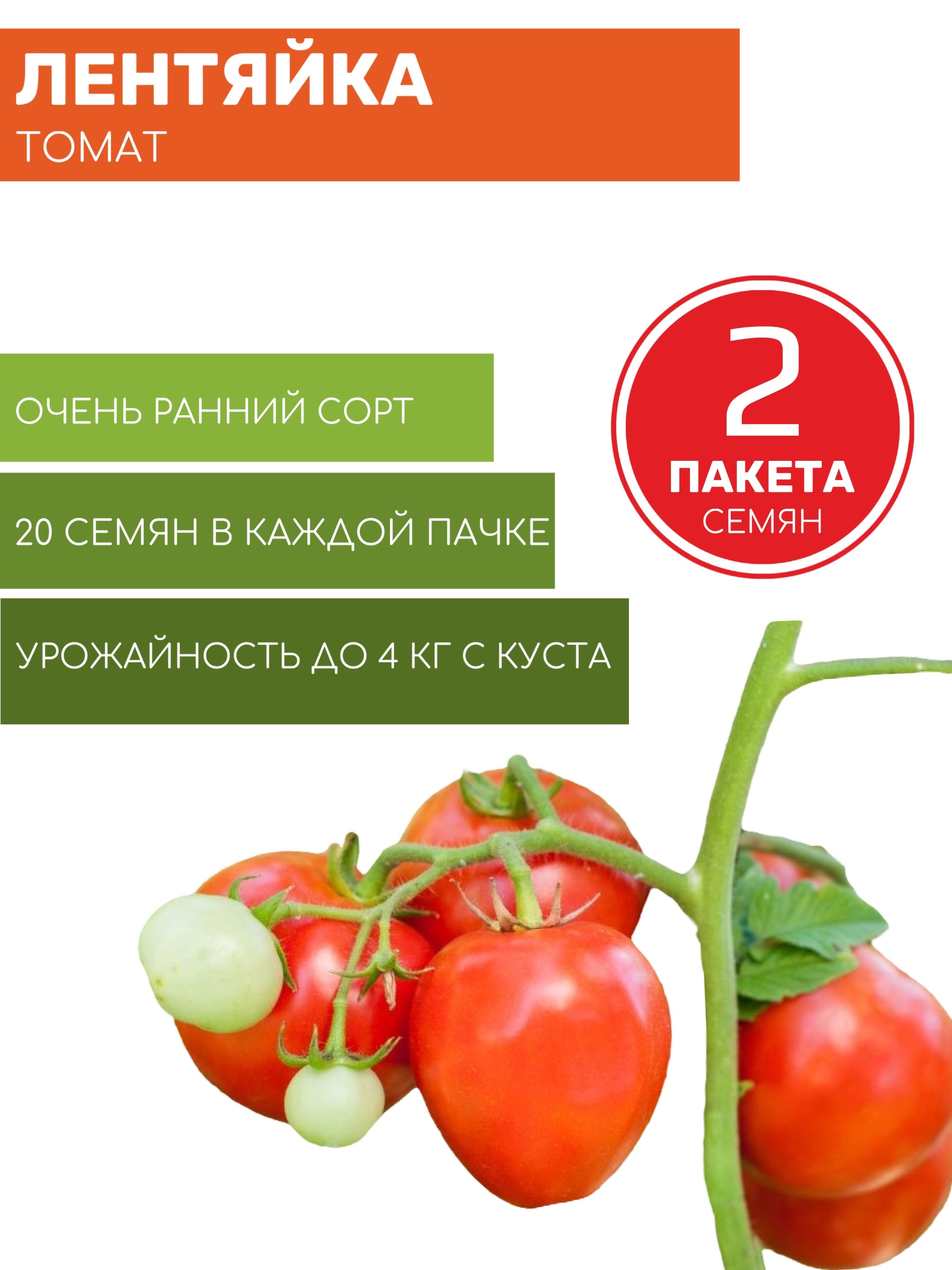 Семена Томат Лентяйка