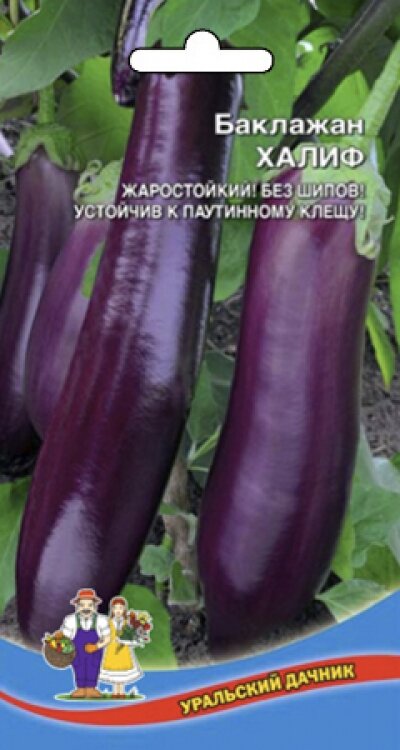 Семена Баклажан Халиф