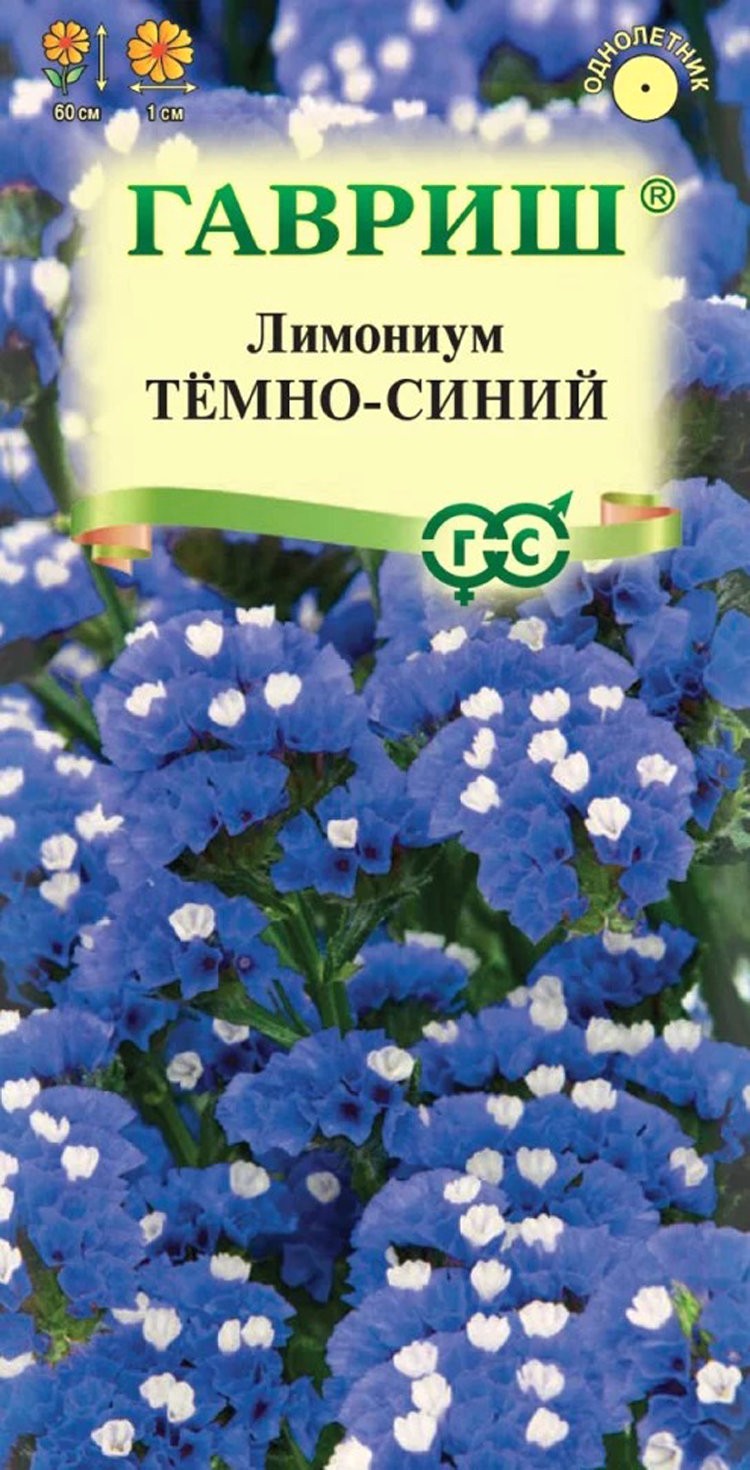 Лимониум Темно-синий